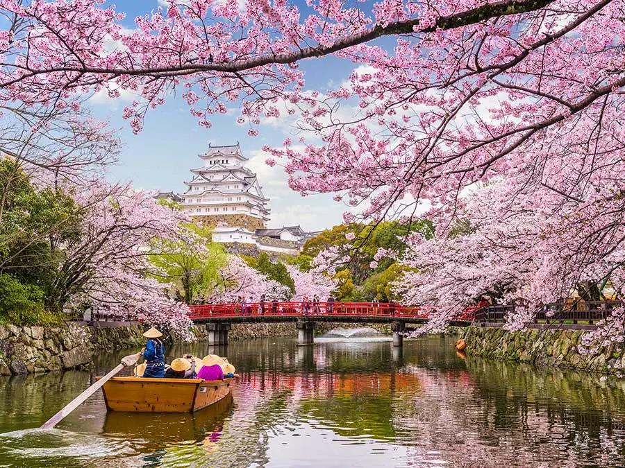 Mau Pergi ke Negeri Sakura? Simak Rincian Biaya Liburan ke Jepang